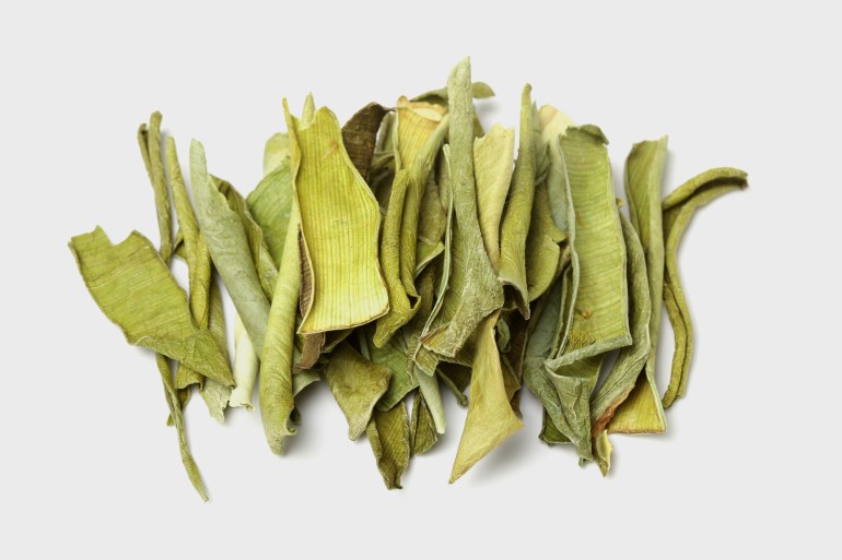 Chinese herbal medicine - aloe vera; Shutterstock ID 1455486407; purchase_order: aljazeera ; job: ; client: ; other: