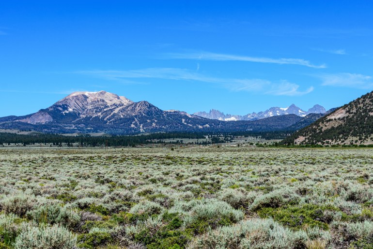 Scenic summer view of Mammoth Mountain at Eastern Sierra Nevada from grass and sage covered valley at Long Valley Caldera located in Mono Country, California