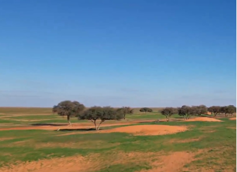 مختص: عوائد السياحة البيئية سترتفع نحو 30 % سنويا