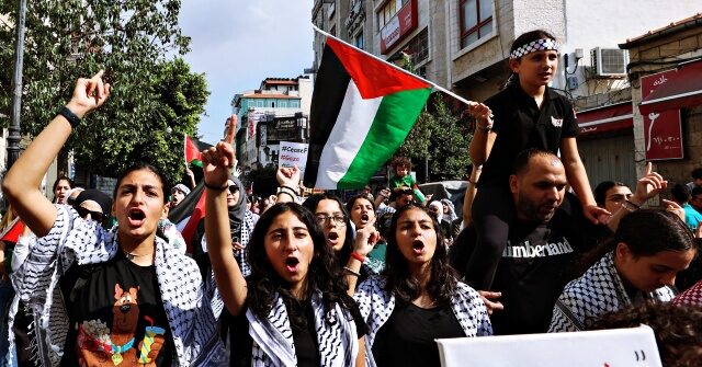 المتظاهرون المؤيدون للفلسطينيين يكشفون عن جهلهم بإسرائيل والصراع مع حماس