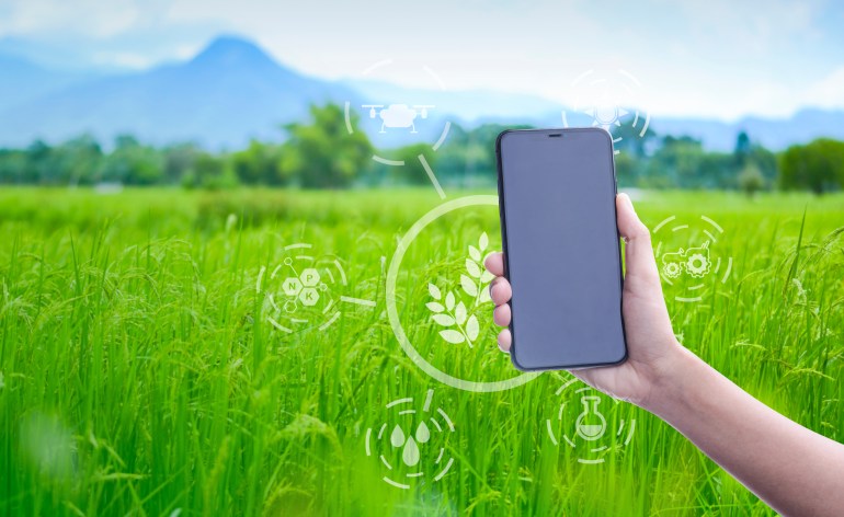 Smart farmer concept using smartphone in rice field and visual icon with modern technology application in rice fields production control for smart technology farm system.