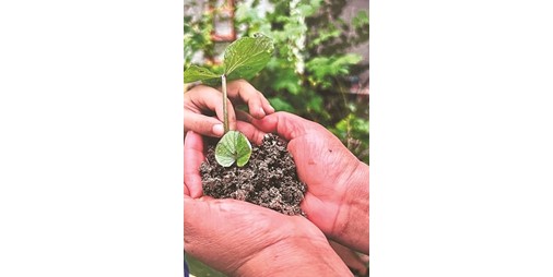 المركز العلمي كرَّم الفائزين في «المحارب البيئي»: ترسيخ مفاهيم الاستدامة والحفاظ على البيئة