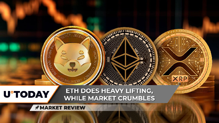 فقدت Shiba Inu (SHIB) الدعم الحاسم، واكتسبت Ethereum (ETH) زخمًا، واختفيت تقلبات XRP