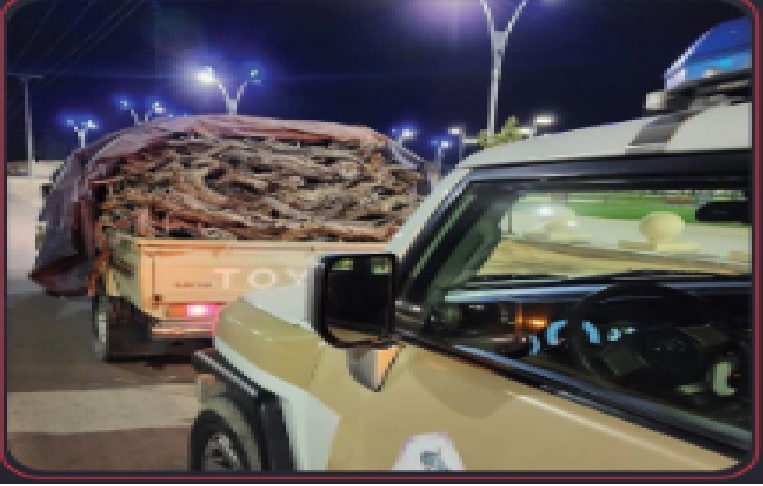 شرطة محافظة طبرجل تضبط مخالفًا لنظام البيئة بحوزته حطب محلي