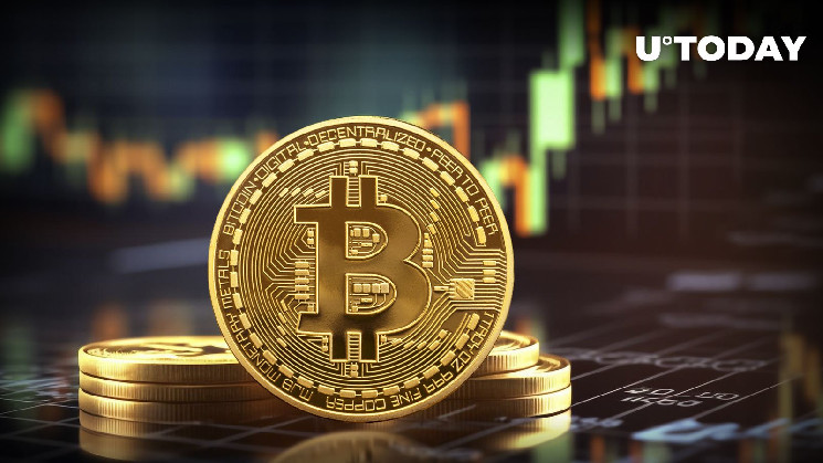 ترتفع عملة البيتكوين إلى مستويات قياسية في محافظ أصحابها المتميزين