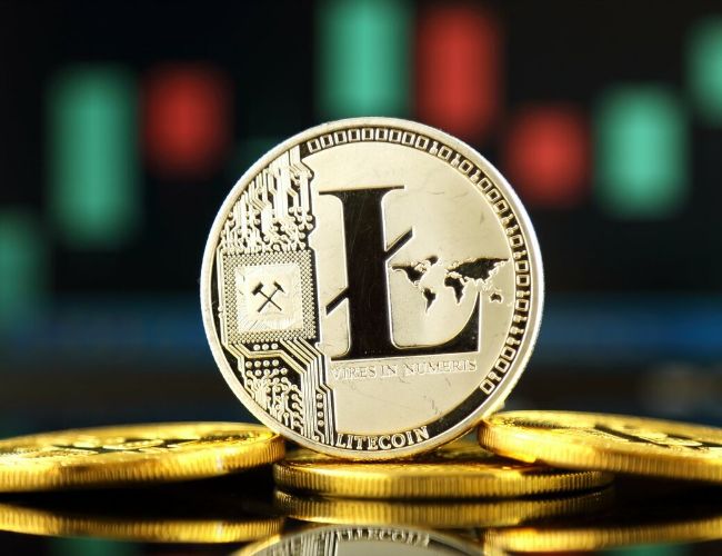 حوت Litecoin يودع كميات كبيرة في Binance، هل يستمر انخفاض LTC بنسبة 3٪؟