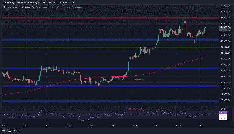 إليك الهدف الحاسم التالي (تحليل سعر البيتكوين)