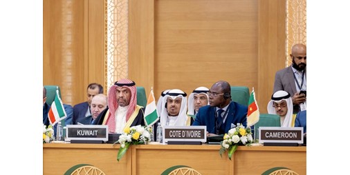 وزير الخارجية: أفعال الاحتلال الإسرائيلي الوحشية تسطر مأساة جديدة بسجل عنفه وظلمه التاريخي