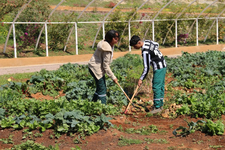 مدرسة البستنة