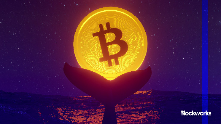 عادت عملة البيتكوين إلى أعلى مستوياتها على الإطلاق بشكل أسرع من أي وقت مضى (تقريبًا)
