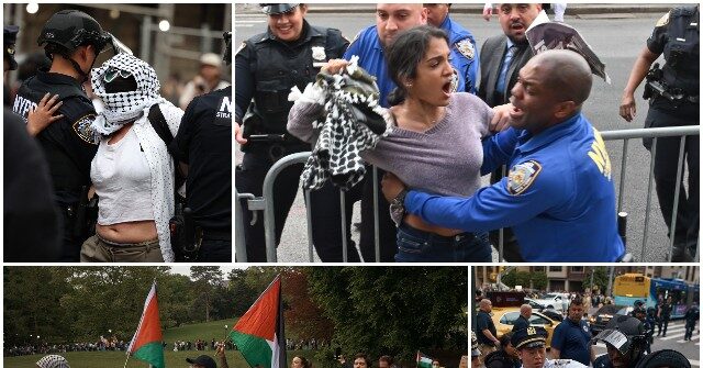 شاهد – المتظاهرون المؤيدون للفلسطينيين يقتحمون الحاجز، في حفل Crash Met Gala: الاعتقالات