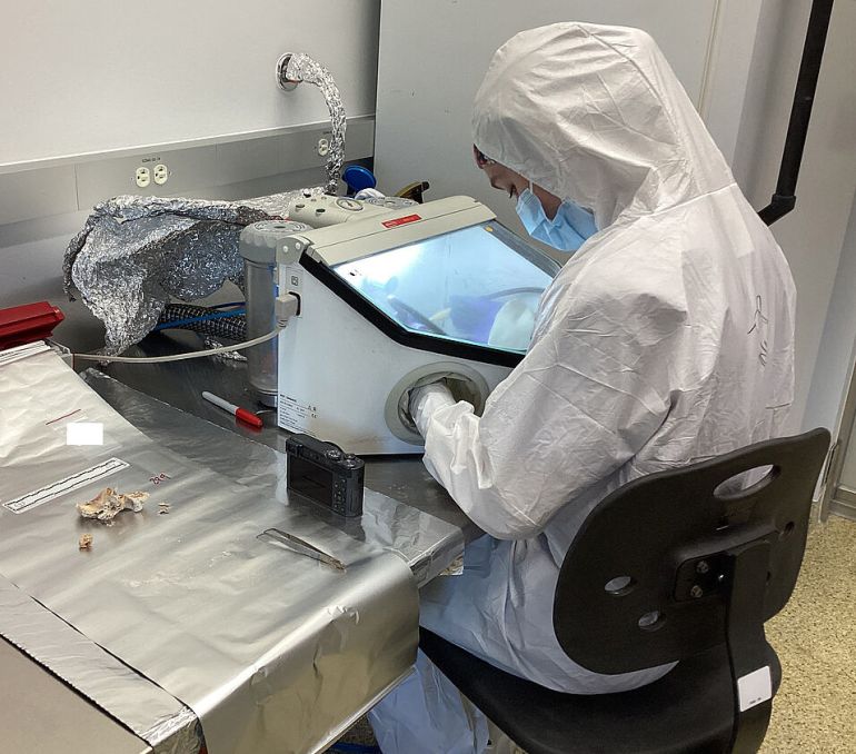 Sample processing at Harvard Medical School (Photo: David Reich)