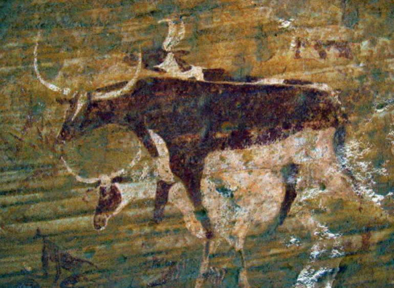 كانت الحيوانات المستأنسة لدى السلالة الشبحية هي الأبقار والأغنام والماعز (جامعة سابينزا في روما)