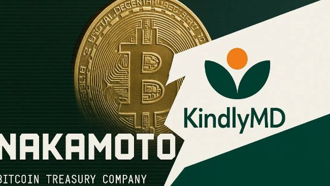 يوافق المساهمون في شركة Bitcoin على الاندماج مع شركة Bitcoin Treasury Company Nakamoto