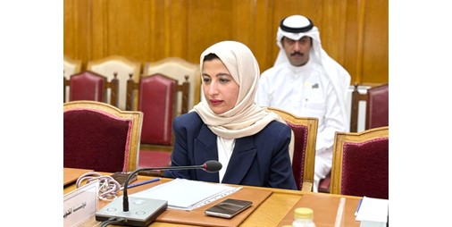 « المجلس الوطني»: حماية التراث وتعزيز الهوية الثقافية