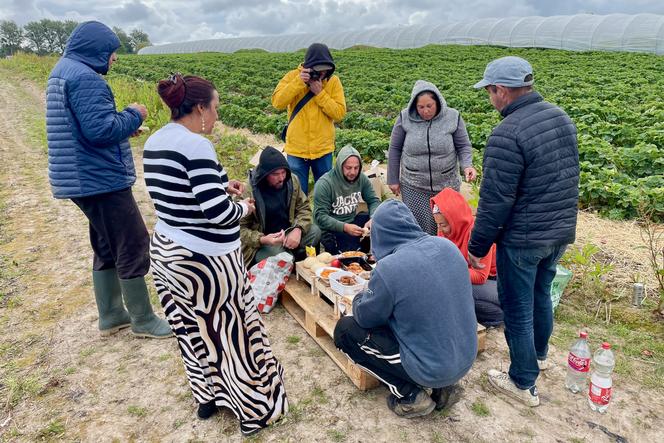 Cosmin Bumbuț ، في المركز ، صورة للعمال الرومانيين الموسميين خلال استراحة الغداء في مزرعة في فيرلين (بلجيكا) ، في يونيو 2024.
