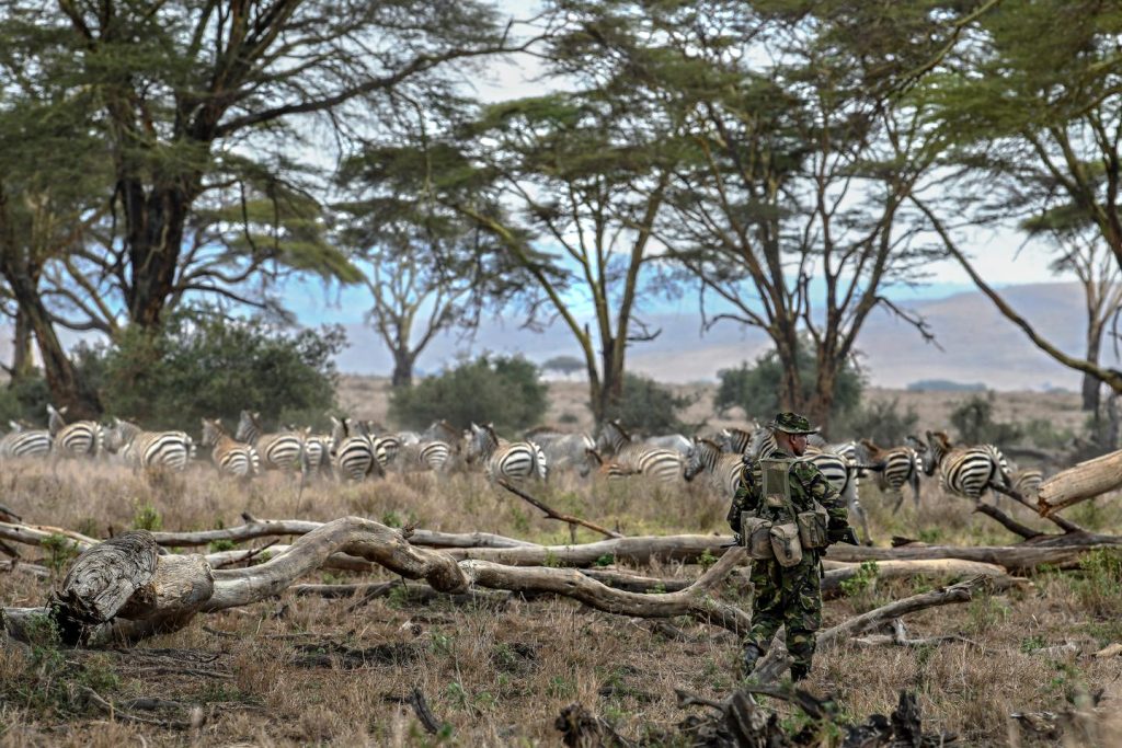 في أفريقيا ، موجة الصدمة لإزالة الوكالة الأمريكية للتنمية الدولية على حماية الطبيعة
