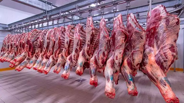 طلب إحاطة: لماذا الارتفاع الكبير في أسعار اللحوم قبل عيد الأضحى؟