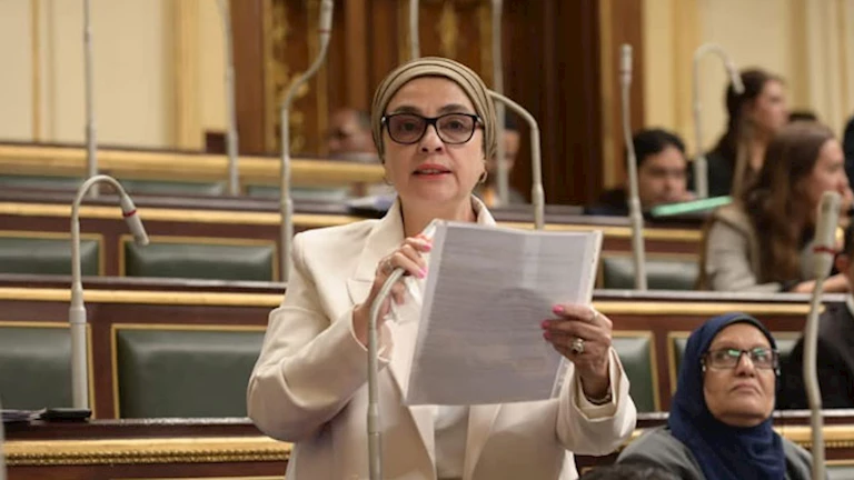 تحرك برلماني حول تراجع أرباح بنك ناصر 24%: لماذا لم يتحول لتجاري؟