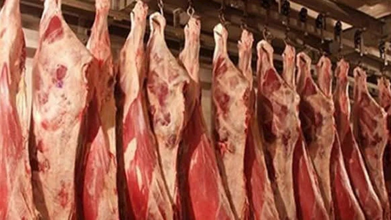 التموين تتابع توريد اللحوم والدواجن خلال عيد الأضحى