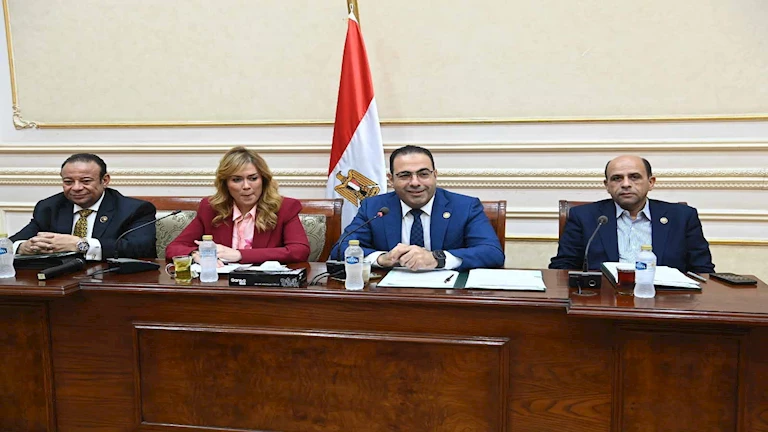 “رياضة النواب” تصدر 28 توصية للأكاديمية الوطنية خاصة للشباب المصريين بالخارج