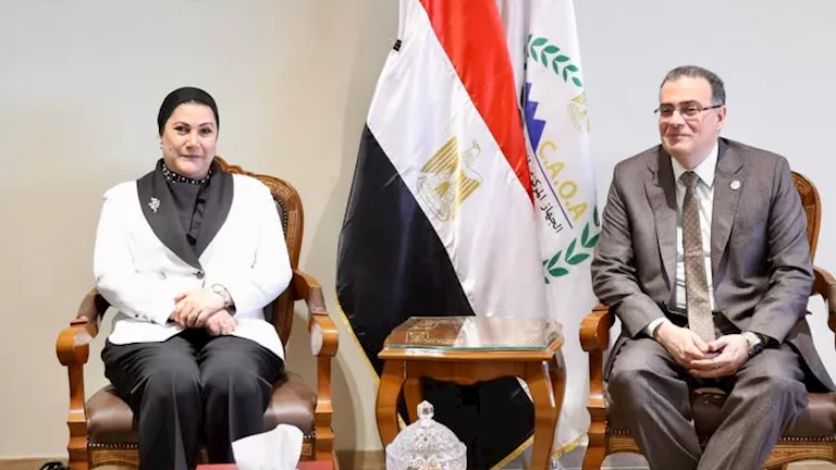 رئيس “التنظيم والإدارة” يبحث مع “القومي للطفولة” تعزيز التعاون