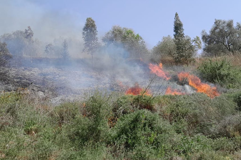 إسرائيل تبيد أراضي جنوب لبنان وتهجر سكانه