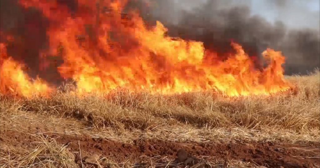 الحرائق الموسمية في سوريا.. متى تنتهي؟ وهل تزيد مستقبلا؟