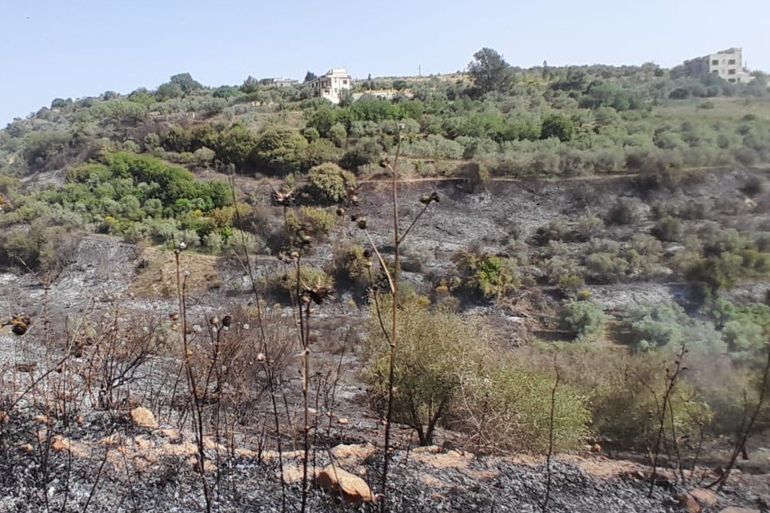 بقنابل فوسفوية ومسمارية وصوتية..إسرائيل تبعد الجنوببين بشتّى الوسائل جمعية الجنوبيون الخضر