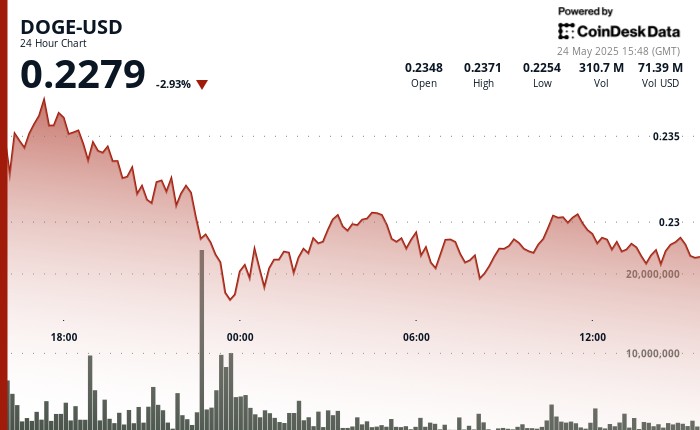 ينزلق DogeCoin إلى أقل من 0.23 دولار ولكن يجد الدعم كإعادة بناء الطلب على المشتري