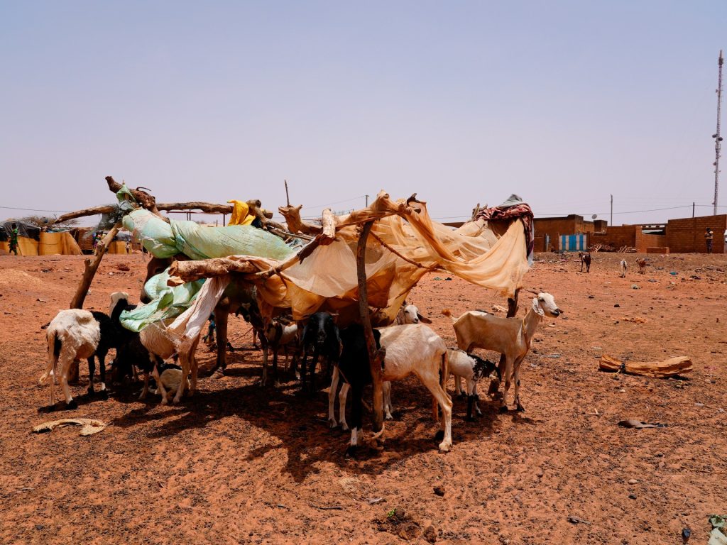 تقرير دولي: تغير المناخ يفاقم الجوع وانعدام الأمن والنزوح في أفريقيا