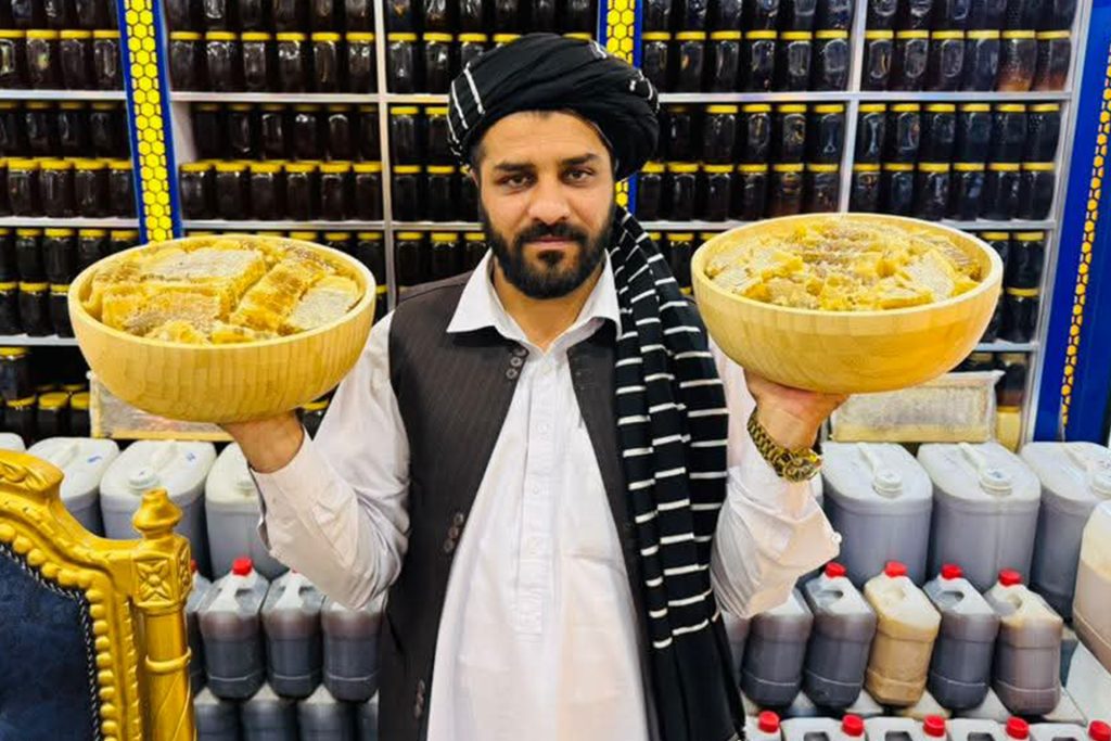 الذهب الحلو.. صناعة العسل في أفغانستان تزدهر رغم التحديات