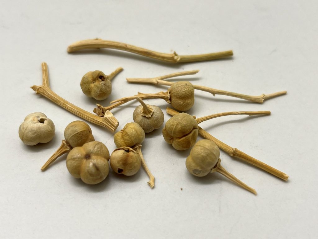 الكيمياء تكشف عن أول “علاج بالبخور” في الجزيرة العربية قبل 2700 سنة