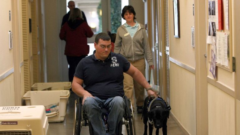 SANTA ROSA, CA - NOVEMBER 20: Andrew Pike, a veteran of the U.S. Army 82nd Airborne who was shot and paralyzed during the Iraq war, practices a pull technique with his new service dog 'Yazmin' while training at the Canine Companions for Independence training center November 20, 2009 in Santa Rosa, California. Andrew Pike, 23, was instantly paralyzed in 2007 when he was shot by sniper fire while on patrol in Iraq. Confined to a wheelchair and seeking more independence, Pike learned about Canine Companions for Independence, a nonprofit that matches service dogs with disabled people that need assistance. The organization has trained more than 3,200 dogs for disabled children and adults and has matched dogs with 44 wounded military veterans. (Photo by Justin Sullivan/Getty Images)
