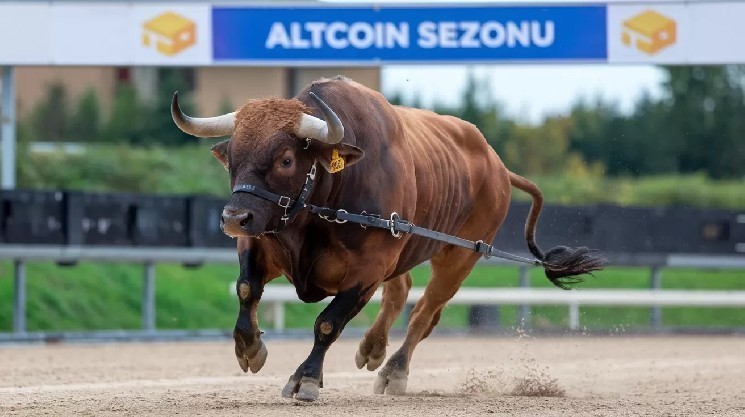 هل موسم Altcoin قريب؟ متى ستبدأ وأي altcoins سوف تبرز؟ الرئيس التنفيذي لشركة التحليل يشارك تنبؤاته!