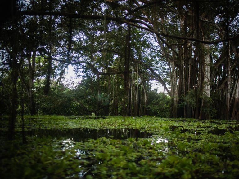 Life in Leticia's Amazonas- - LETICIA, AMAZONAS, COLOMBIA- FEBRUARY 23: The Flooded Forests of the Amazon are seen as they are seasonally covered by the water that overflows from the regular course of the rivers in Leticia, Colombia on February 23, 2019. Thousands of tourists from different regions of the world travel to Latin America to learn a little bit about the natural, cultural and social immensity of the Amazon basin. Few places in Colombia can afford to be a refuge of peace, they haven't had the Colombian conflict so present during the years, but it is a territory which has been forgotten by the government. In terms of public services, the inhabitants say that although they have been growing, there is still a need for at least 30% of the population to have electricity and drinking water. This region stretches along the borders of 9 countries where indigenous cultures and endemic species survive on the banks of one of the longest and dangerous rivers in the world. The imposing river houses indigenous communities, of which almost nobody in the country knows. Isolation and forgetting mark its history, they're looking to change this part working in different projects what embrace ecotourism and social inclusion to the indigenous of the area.