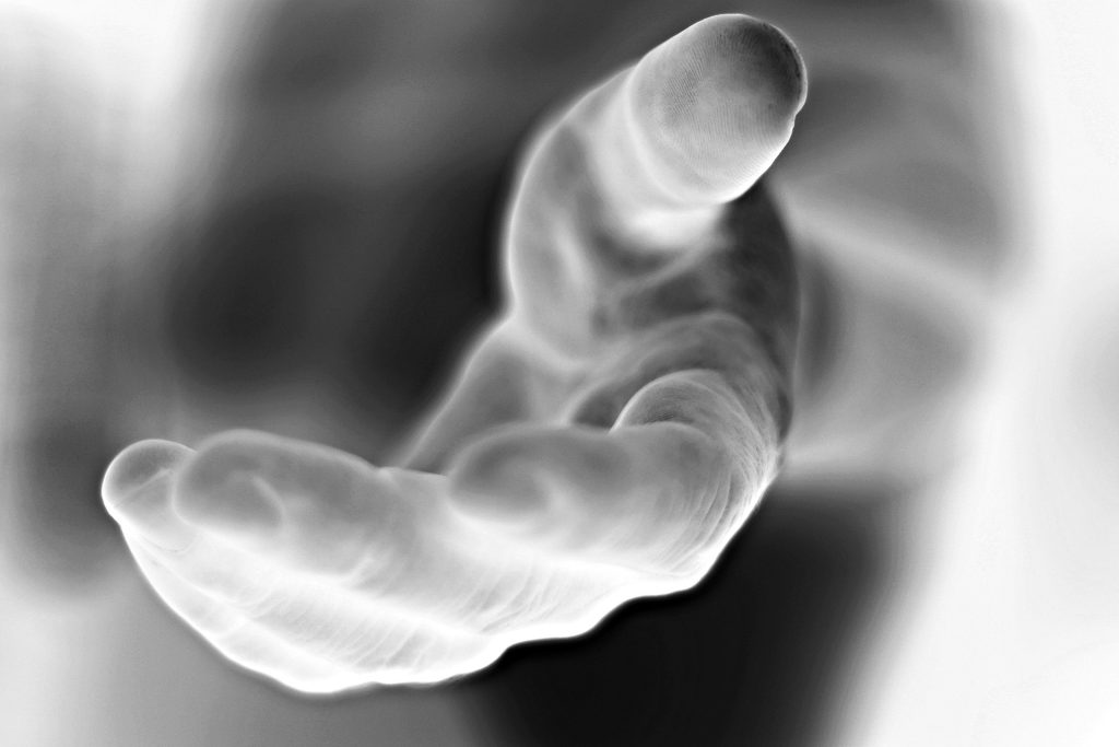 الأجساد الحية “تتوهج” بضوء خافت يختفي حين تموت