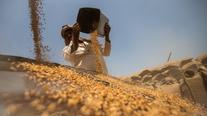 تقدم لنا الهند تخفيضات التعريفة “العميقة” ، لكن أسواق الحبوب والألبان شيلدز