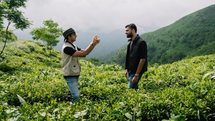 يتراكم المستثمرون في صخور لامتصاص انبعاثات الكربون