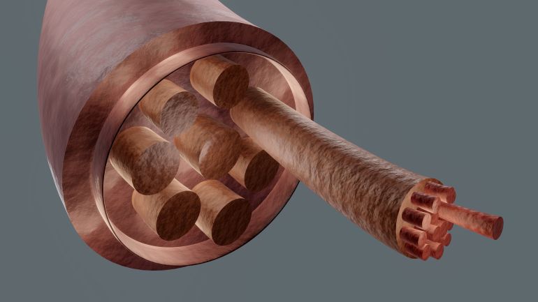 العضلات ليست ثابتة، فهي تتحرك بحرية؛ تتمدد، وتنقبض، وتتغير اتجاهاتها (بيكسابي)