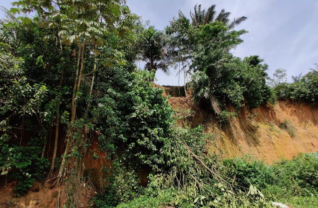 البشر عاشوا في الغابات المطيرة الأفريقية قبل 150 ألف سنة