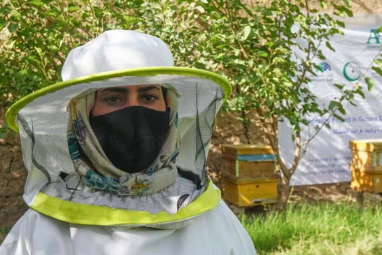 فاطمة علي زاده، نحالة من مديرية أنجيل بولاية هرات، تدير 20 خلية نحل بعد تلقيها دورة تدريبية حكومية، مساهمة في تطوير صناعة العسل المحلية