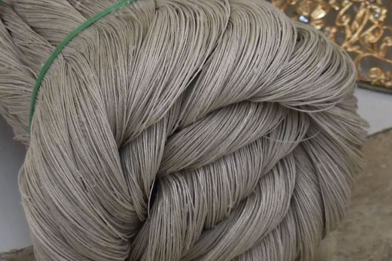 تربية دودة القز لصناعة الحرير في <a class=