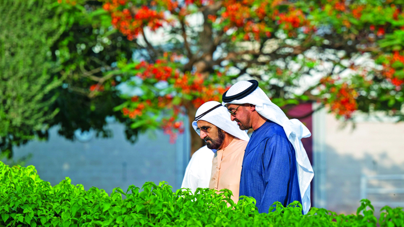 رئيس الدولة ومحمد بن راشد يبحثان جهود تعزيز التنمية الوطنية