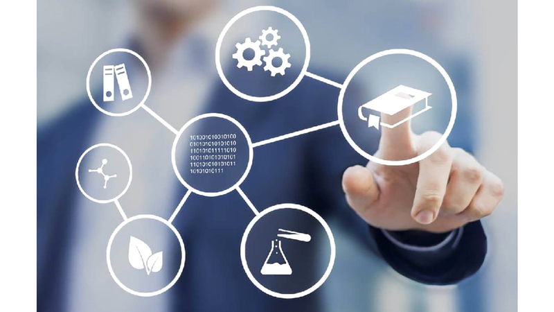 6 معايير استرشادية لاختيار التخصص الجامعي المناسب