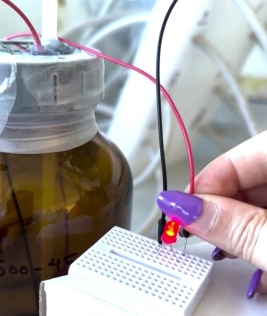 نجاح البطارية في إضاءة مصباح صغير (جامعة سيري)