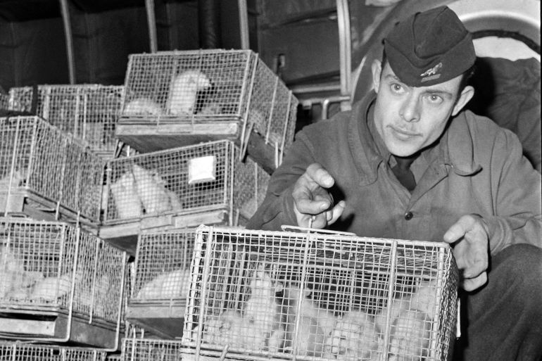 A picture taken on December 29, 1960 at Le Bourget Paris airport show a soldier holding cages of guinea pigs arriving from Reggane, southern Sahara desert, after they were exposed to the radiations of the third French nuclear test carried out in 1960, in order to establish medical treatments to fight the effects of nuclear blasts. Reggane was the site where the first French nuclear bomb was tested on February 13,1960 before the Algerian independence. France used soldiers as guinea pigs in nuclear tests in the 1960s, deliberately exposing them to radiation from atomic blasts to test the effects, according to a secret military report, obtained by AFP, revealed on February 16, 2010. AFP PHOTO FILES (Photo by AFP)
