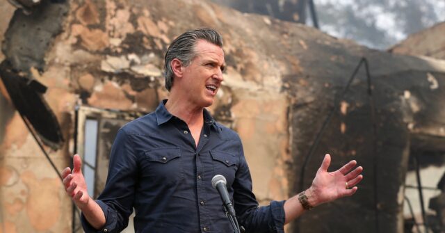 Sens. Scott ، جونسون يطلق التحقيق في Palisades Fire ؛ طلب “تعاون” Newsom