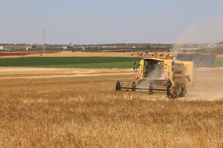 الجفاف يسبب كارثة في سوريا