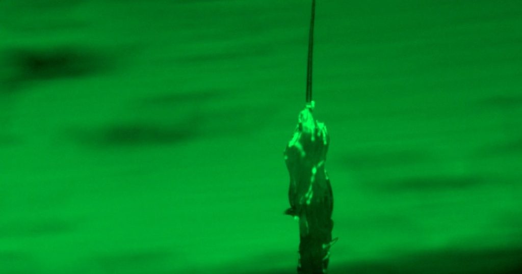 أبراج الديدان.. اكتشاف مدهش لسلوك جماعي فريد في الطبيعة